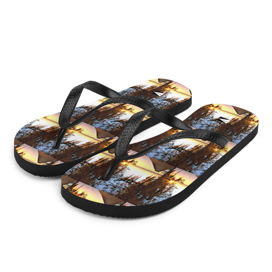 Flip-Flops